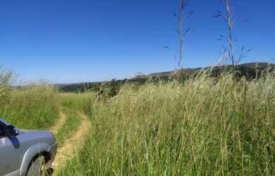 Imagem 4: QD 16 América do Sul Novo Gama , 2 lotes vazios 500m² escriturados R$...