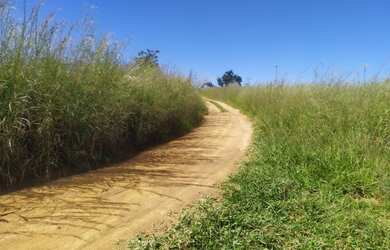 Imagem 5: QD 16 América do Sul Novo Gama , 2 lotes vazios 500m² escriturados R$...