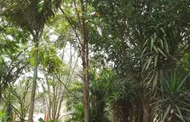 Imagem: A chácara possui 3.500m² de Área e está localizado em Jardim