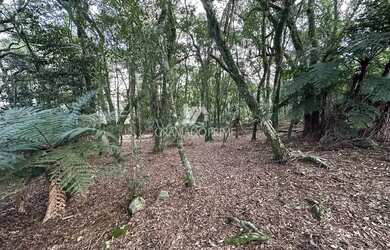 Imagem 4: TERRENO NO CONDOMÍNIO LAGOS DE GRAMADO