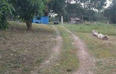 Imagem: A chácara possui 15.000m² de Área e está localizado em