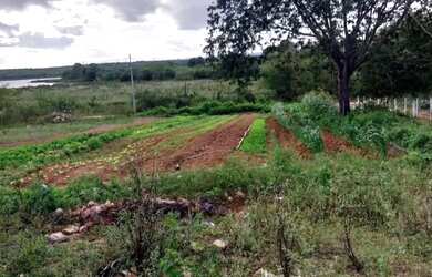 Imagem 2: Chácara. 12.000m² de Área