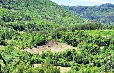 Imagem: A fazenda possui 23.732m² de Área e está localizado em Nova