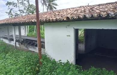 Imagem 13: Ótima Fazenda com 200 hectares na região de São Gonçalo do Amarante