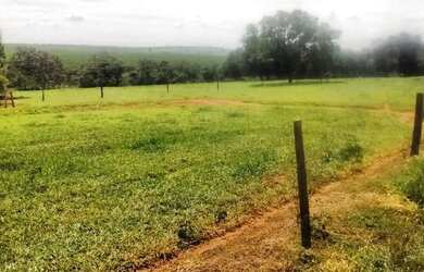 Imagem 14: Fazenda excelente à venda entre Votuporanga e Cardoso-SP