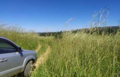 Imagem 6: QD 16 América do Sul Novo Gama , 2 lotes vazios 500m² escriturados R$...