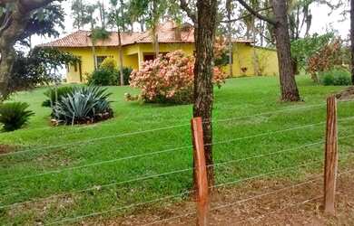 Imagem 4: Fazenda excelente à venda entre Votuporanga e Cardoso-SP