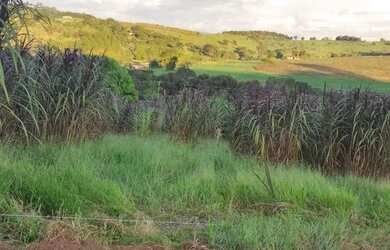 Imagem 7: Lote/Terreno para venda possui 500 metros quadrados em Usina - Atibaia...