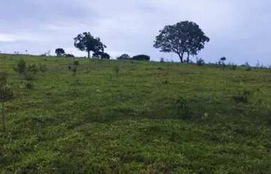 Imagem 8: Oportunidade Única Fazenda à Venda com Potencial para Desenvolvimento...