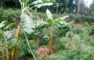 Imagem 5: 3 mil mts com fibra otica instalada