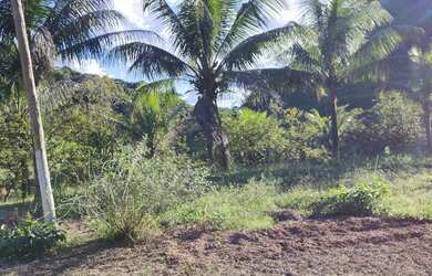 Imagem 2: Sítio 16 alqueires com 05 tanques