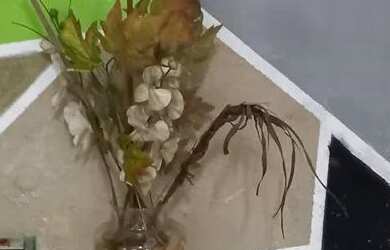 Imagem: O quarto está localizado em Piedade, Jaboatão Dos Guararapes