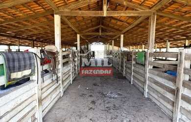 Imagem 16: Fazenda 303 Alqueires 1.469 Hectares Flores De Goiás - Go