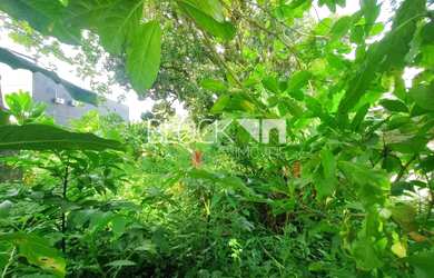 Imagem 15: Vargem Grande Terreno. 2.000m² de Área