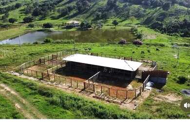 Imagem 7: Fazenda de 57 alqueires. 1m² de Área