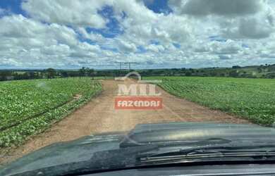 Imagem 9: Fazenda 36 alquieres 174,24 hectares Edealina - Go