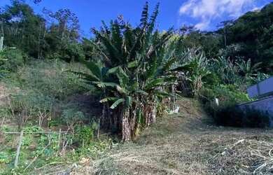 Imagem 15: Terreno para venda, Boa Esperança, Lumiar - Rio de Janeiro