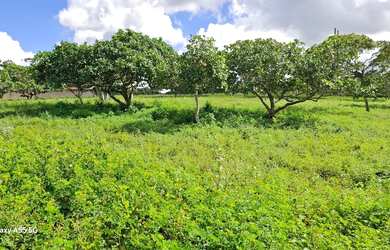 Imagem: O terreno possui 37.382m² de Área e está localizado em Serraria