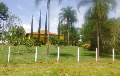 Imagem 15: Fazenda excelente à venda entre Votuporanga e Cardoso-SP