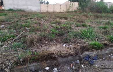 Imagem 3: America do Sul QD 10 Novo Gama , lote vazio quitado R$ 25.000,00