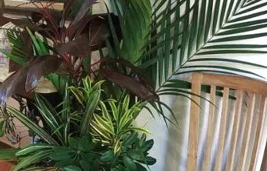 Imagem 9: casamentos ou jantares Casarão para 15 ou 50 pessoas Itanhangá Barra...