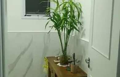 Imagem 14: Casa para alugar em Santana de Parnaíba SP