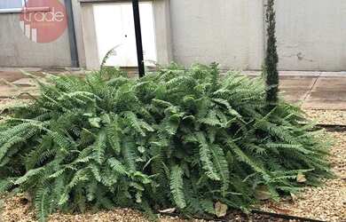 Imagem 15: Apartamento com 2 dormitórios, 47 m² - venda por R$ 185.000,00 ou aluguel por R$ 1.291,00