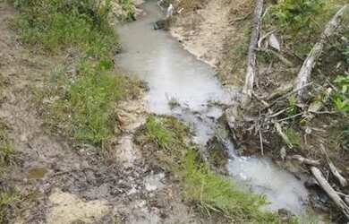 Imagem 3: Oportunidade Única Fazenda à Venda com Potencial para Desenvolvimento...