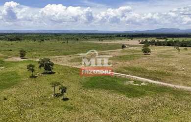 Imagem 7: Fazenda 303 Alqueires 1.469 Hectares Flores De Goiás - Go