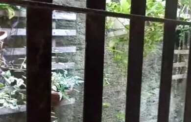 Imagem: A casa possui 3 Dormitórios, 1 Banheiro e 1 Vaga na garagem