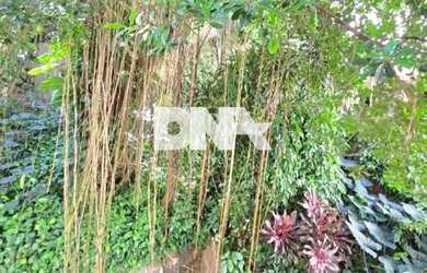 Imagem 15: Apartamento / Residencial / Copacabana