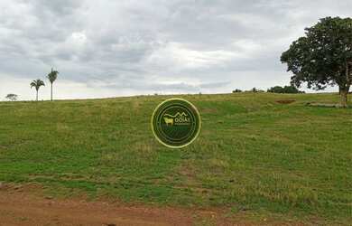 Imagem 7: 197 Alqueires Novo Brasil