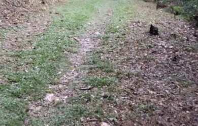 Imagem: O terreno possui 4.000m² de Área e está localizado em Juquitiba