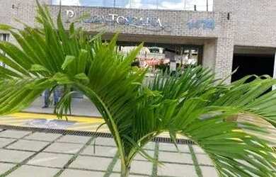 Imagem 10: Edifício Piazza Toscana. Piscina, Churrasqueira, VarandaeImóvel novo