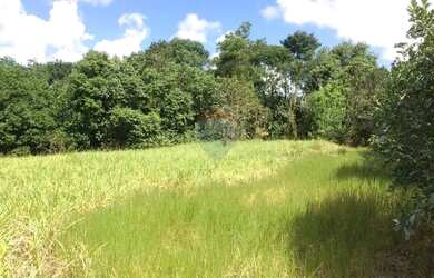 Imagem: O terreno possui 66.000m² de Área e está localizado em Riacho
