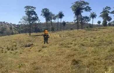 Imagem 2: Quem Investe em Terra Nunca Erra