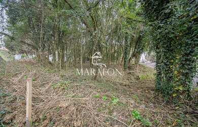 Imagem 6: TERRENO EM EXCELENTE LOCALIZAÇÃO