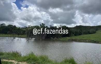 Imagem 10: Fazenda à venda em Goiás-Go