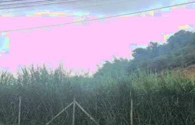 Imagem 5: AREA - PORTÃO - SP. 94.000m² de Área