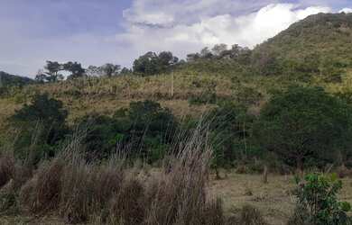 Imagem: A fazenda possui 23m² de Área e está localizado em Minaçu