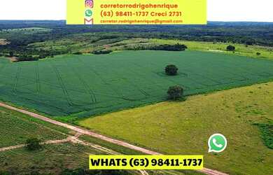 Imagem: A fazenda possui 2521000m² de Área e Imóvel novo e está