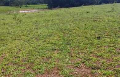 Imagem 9: Oportunidade Única Fazenda à Venda com Potencial para Desenvolvimento...