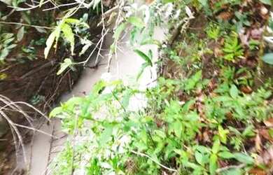 Imagem 5: Oportunidade Única Fazenda à Venda com Potencial para Desenvolvimento...