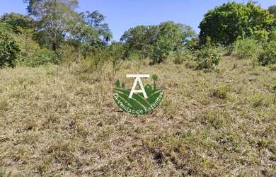 Imagem 16: Fazenda no Faina GO 38 alq