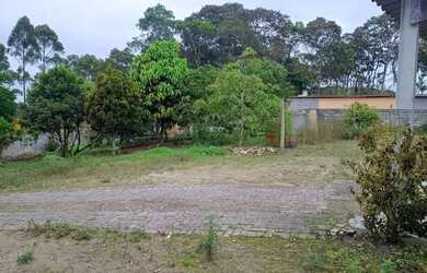 Imagem 6: Chacara local alto e ensolarado