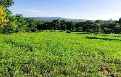 Imagem: A fazenda possui 687m² de Área e está localizado em Centro