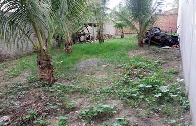 Imagem: O terreno possui 187m² de Área e está localizado em Tomba