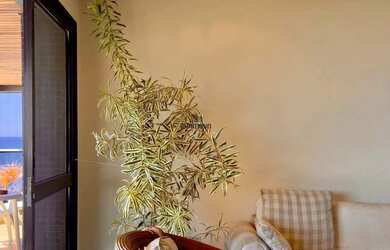 Imagem 13: Apartamento à venda, 4 quartos, 2 suítes, 2 vagas, Centro Guarapari...