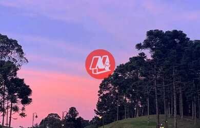 Imagem 10: Em Gramado,terrenos em condomínio de luxo