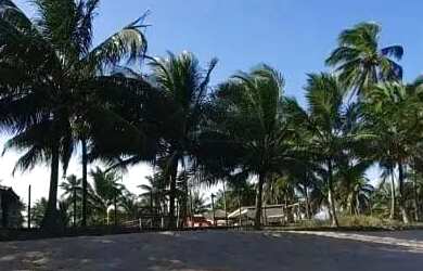 Imagem 9: Temporada Casa 5/4, Condomínio Fechado, Praia Privativa